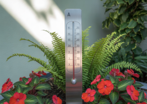 Außenthermometer