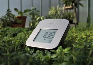 Hygrometer für das Gewächshaus